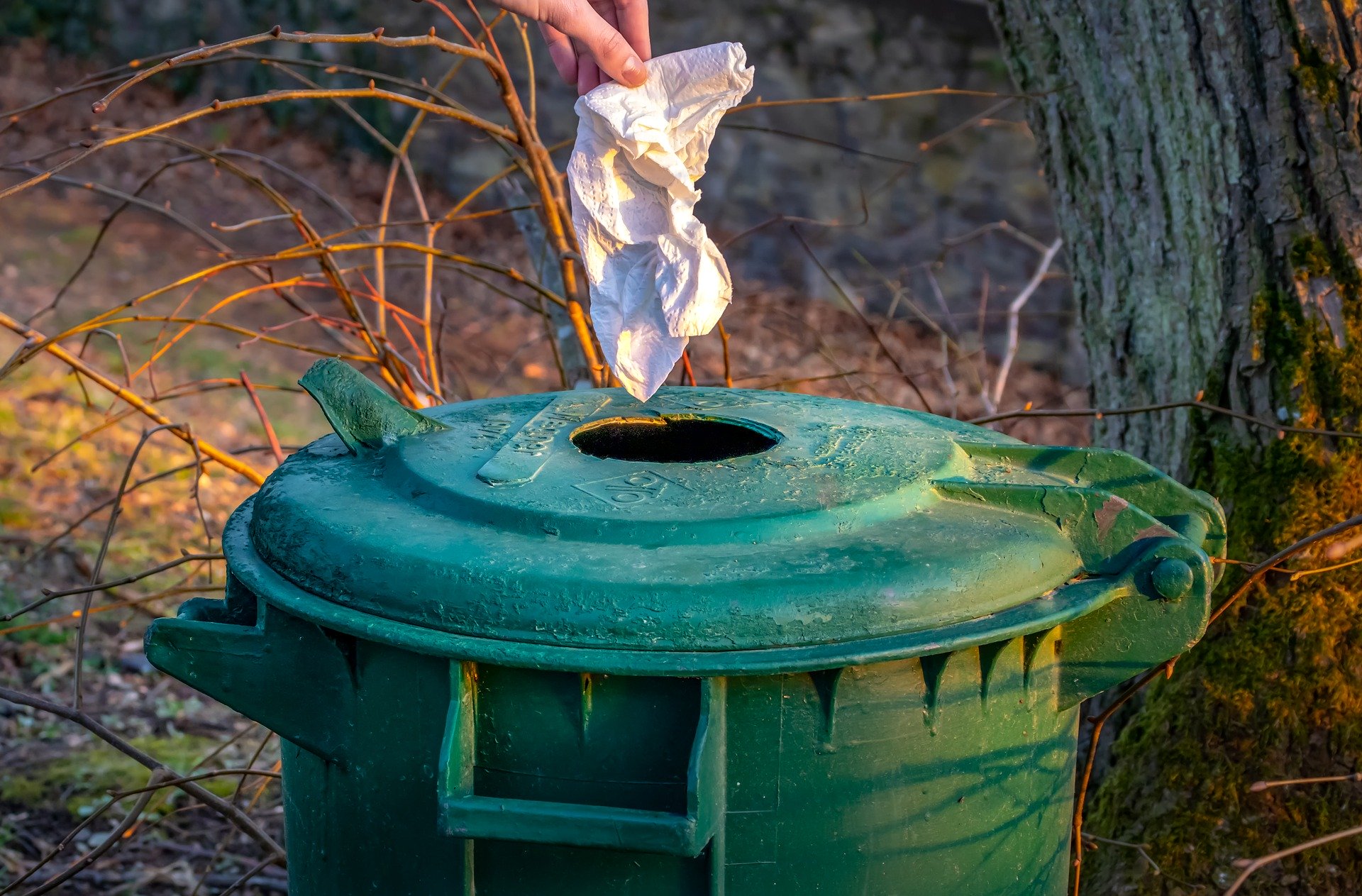 La clean walk, ou comment lier lutile et lagréable