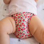 Couche lavable TE2